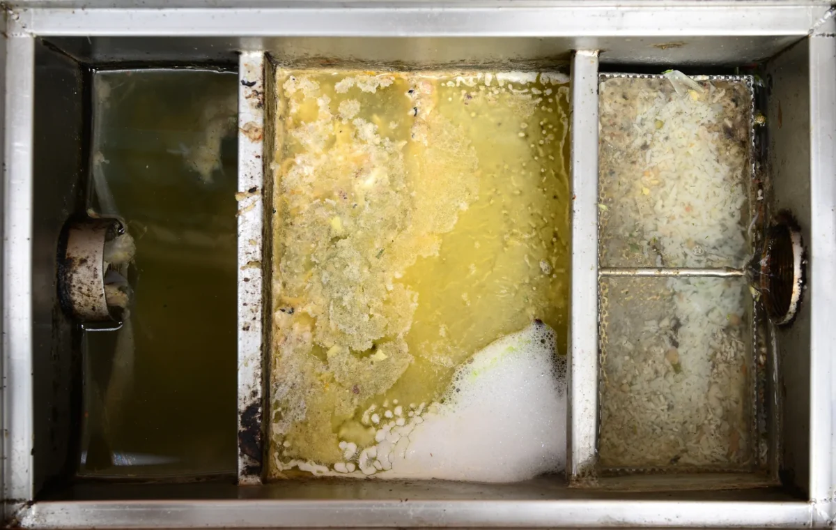 Opened grease trap showing the separation compartments and accumulated fats